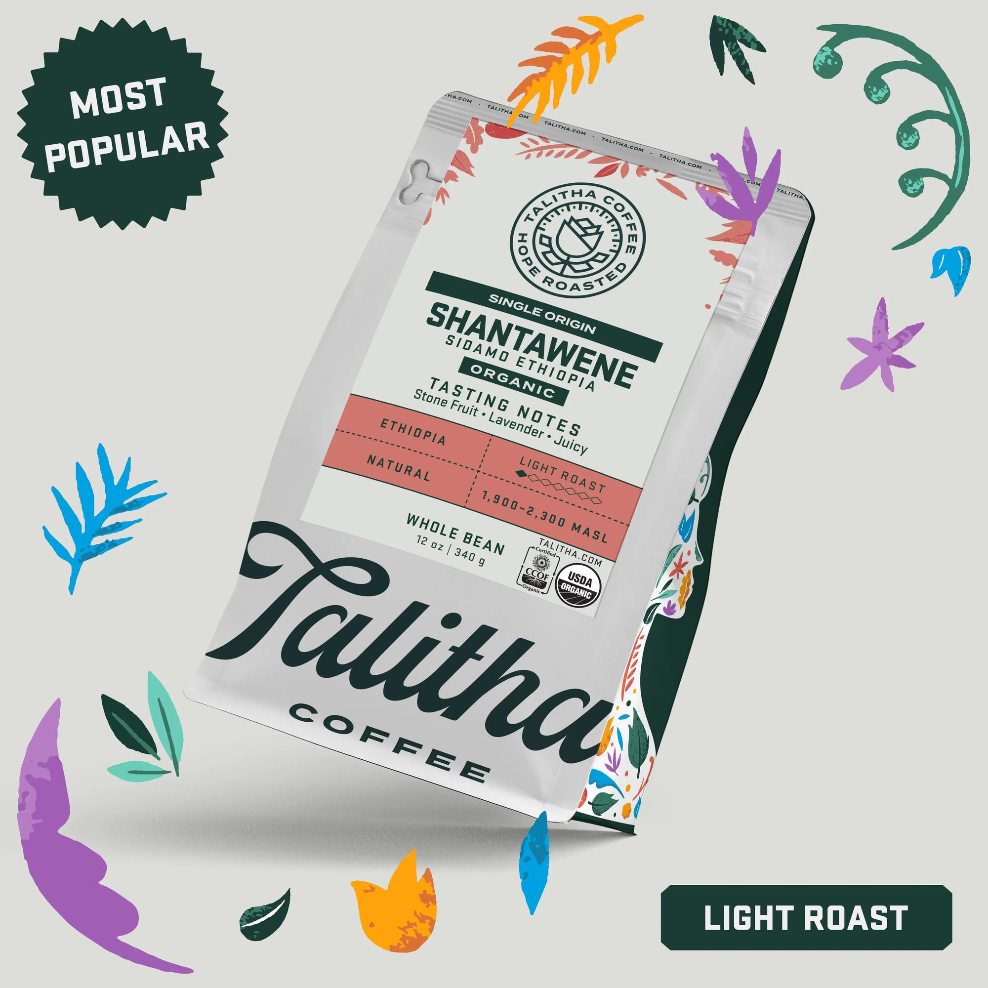 a 12 oz Bag of Organic Talitha Ethiopia single origin Shantawene coffee with lablels indicating light roast and most popular