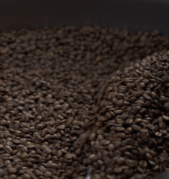 roasted coffee beans