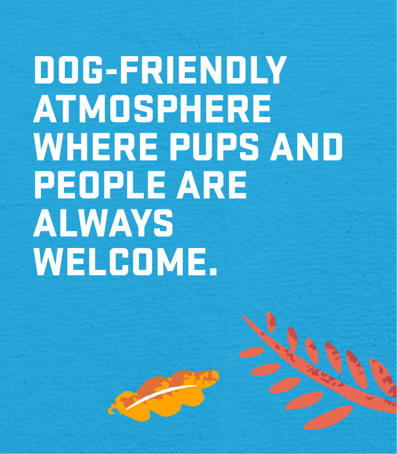 DOG-FRIENDLY ATMOSPHERE WHERE PUPS AND PEOPLE ARE ALWAYS WELCOME.